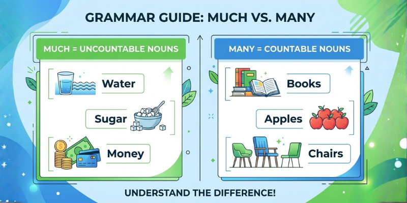 much vs many grammar guide image