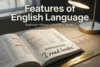 Features of the English Language Explained: Learn Faster and Smarter - Post Thumbnail