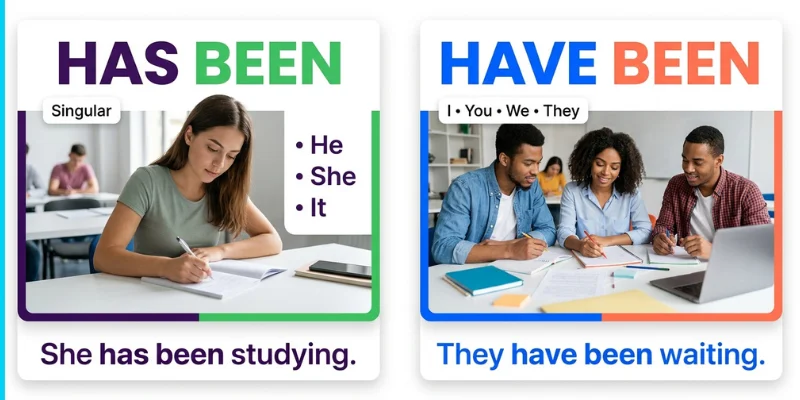 Has Been vs Have Been comparison for singular and plural subjects with examples