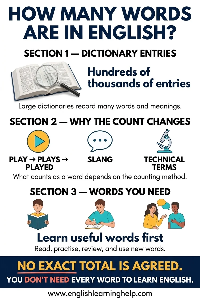Educational infographic comparing dictionary entries, word forms, and useful vocabulary for English learners.