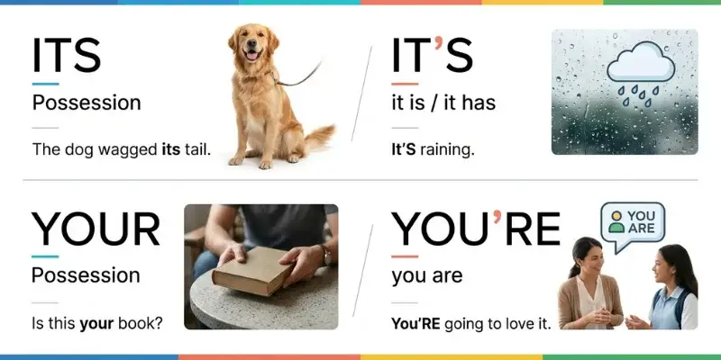 Comparison of its and it's and your and you're with simple meanings and examples