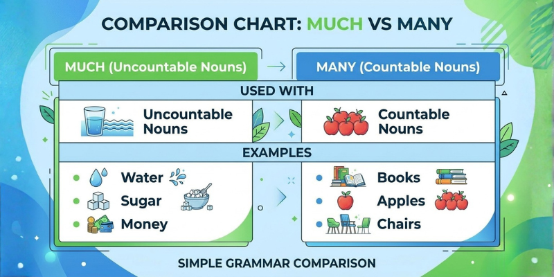 comparison between much and many