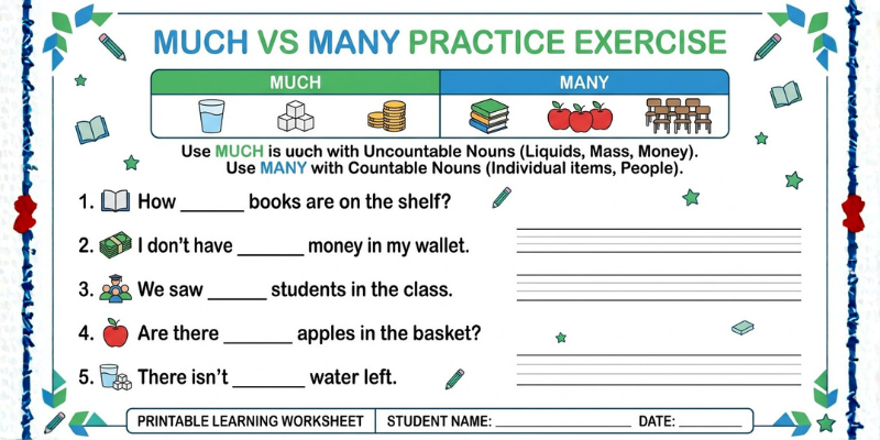 much vs  many practice sheet