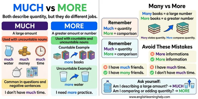 Much Vs More: Simple Grammar Rules With Examples For English Learners Complete Much vs More grammar infographic covering meanings, noun types, examples, and common mistakes.