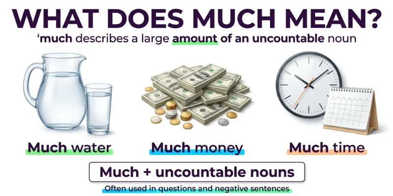 Much Vs More: Simple Grammar Rules With Examples For English Learners English grammar infographic explaining much with water, money, time, and other uncountable nouns